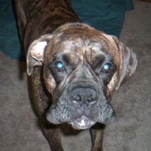 Its my party and I'll woo-woo if I want to....