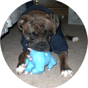 Myra and her favorite squeak!