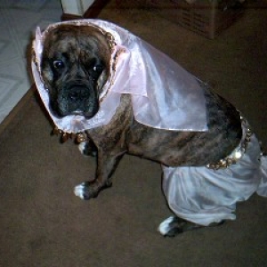 I won a trophy for this?  The things mom does to me...