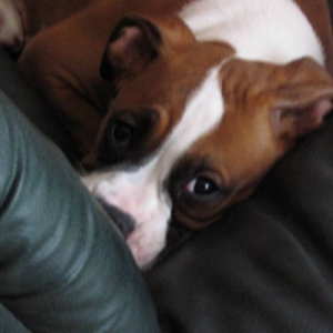 Hiding on the couch...