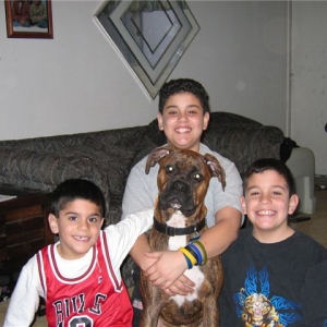 Bruno and The Boys