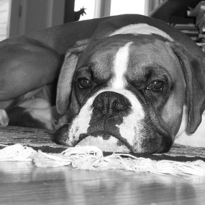 Sleepy