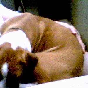 kimber in january