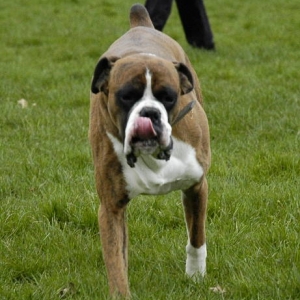 that tongue again