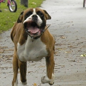 Here I come!
