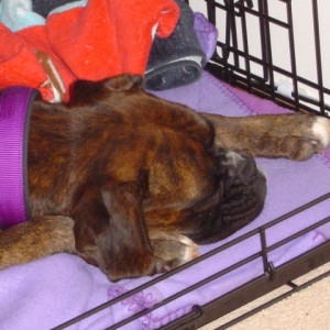 Sleeping
