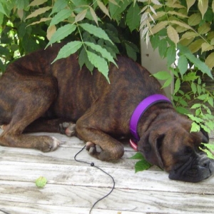 Her fav spot outside