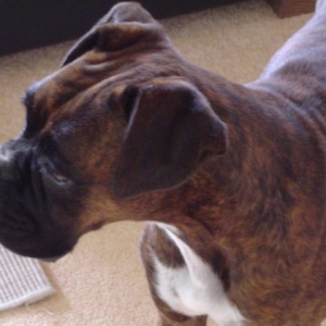 Wrinkle head