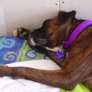 Zzzzzzz