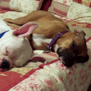 tough day!