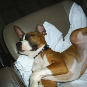 Lovin' the heated seats