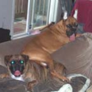 Looks like a good place to sit