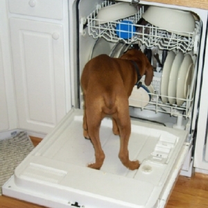 Doin' Dishes