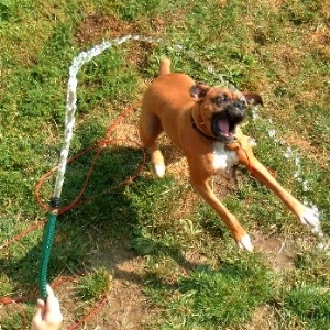 Elliott playing in the water