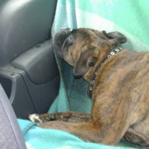 Kizzie in car.