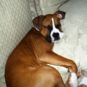 Nap Time!