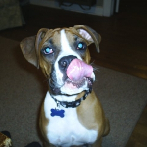 Yummy!