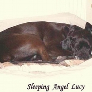 Sleeping Baby Lucy