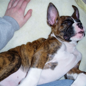 nap time!