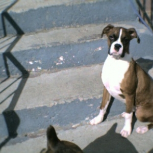 Pretty Kia