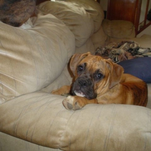 My handsome boy