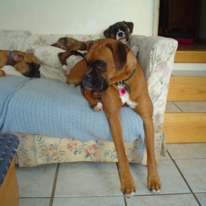 This is a little to crowded for me!