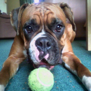 play ball with me . . . plz
