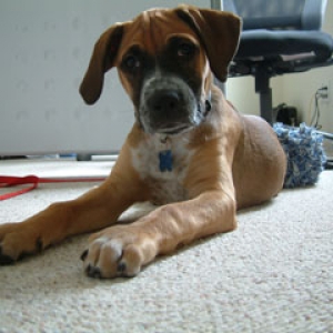 Whatchoo Doin' Mommy?