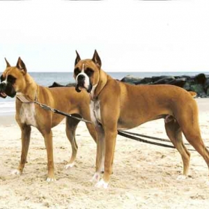 Max & Megan at the Beach