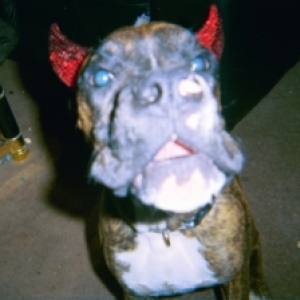 Devil Tucker