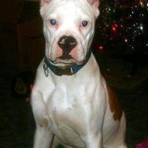 Doody at 8 months
