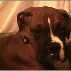 bradie at 4 mo.