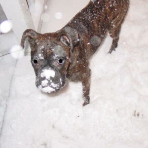 Snow? What snow?