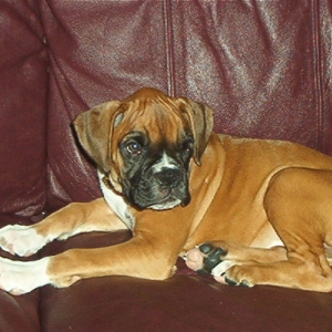 Our Baby Dixie