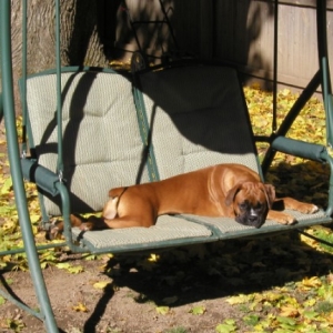 Soaking up the sun...