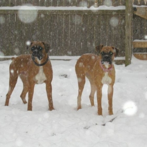 First snow