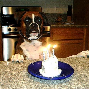 Happy 3rd Birthday Jake!