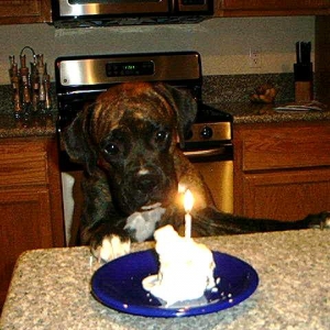 Happy 1st Birthday Jenna