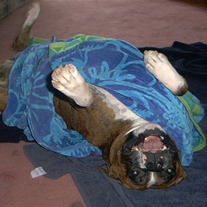 Fresh out of the shower