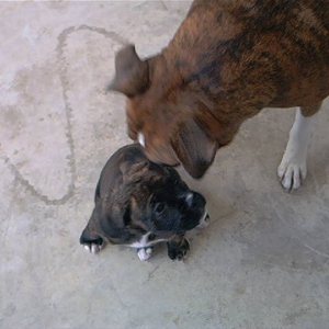 He loves his new sister