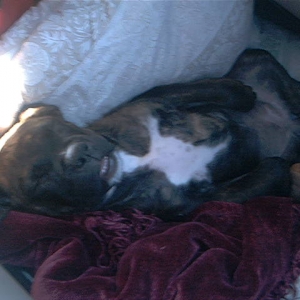 Baby Jenna on her first road trip