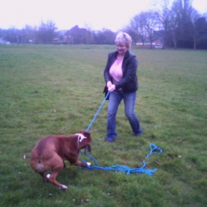 playing