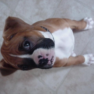 Are you looking at me ???