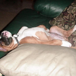 Soooo tired...  :)