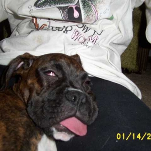 I'm Sooo Wasted