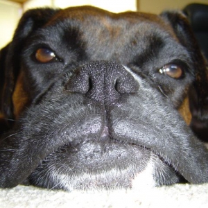 Big face