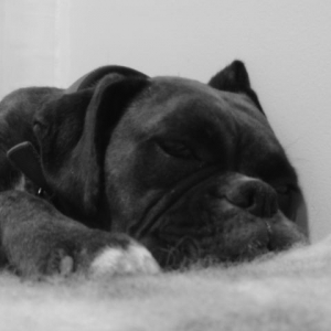 More of her sleeping