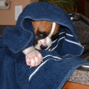 Bath Time