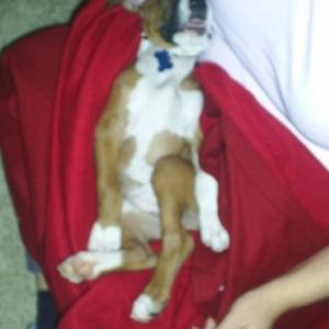 Spoiled