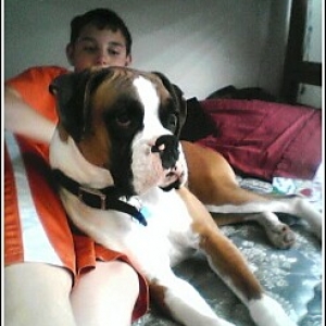 Duke Hangin Out